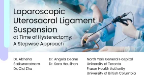 Laparoscopic Uterosacral Ligament Suspension at Time of Hysterectomy: A Stepwise Approach preview