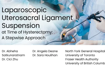 Laparoscopic Uterosacral Ligament Suspension at Time of Hysterectomy: A Stepwise Approach preview
