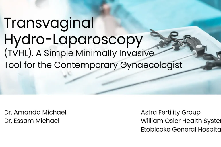 Transvaginal Hydro-Laparoscopy (TVHL). A Simple Minimally Invasive Tool for the Contemporary Gynaecologist preview