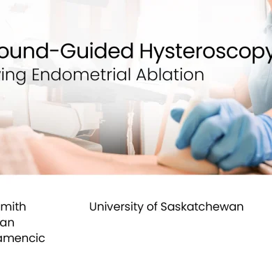 Ultrasound-Guided Hysteroscopy Following Endometrial Ablation