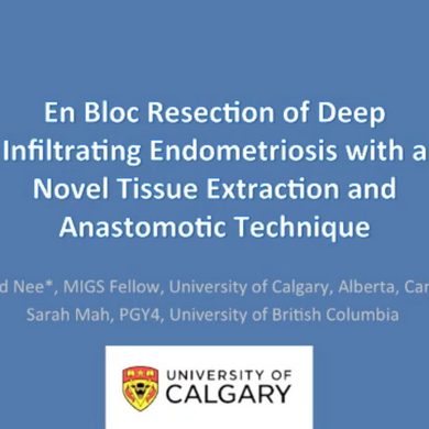 En Bloc Resection of Deep Infiltrating Endometriosis with a Novel Tissue Extraction and Anastomotic
