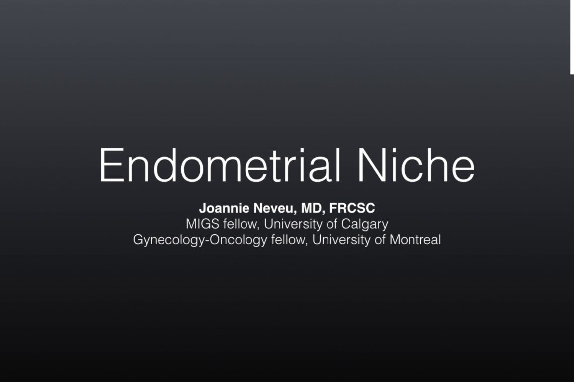 Endometrial Niche
