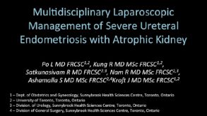 Multidisciplinary Laparoscopic Management of Severe Ureteral Endometriosis with Atrophic Kidney