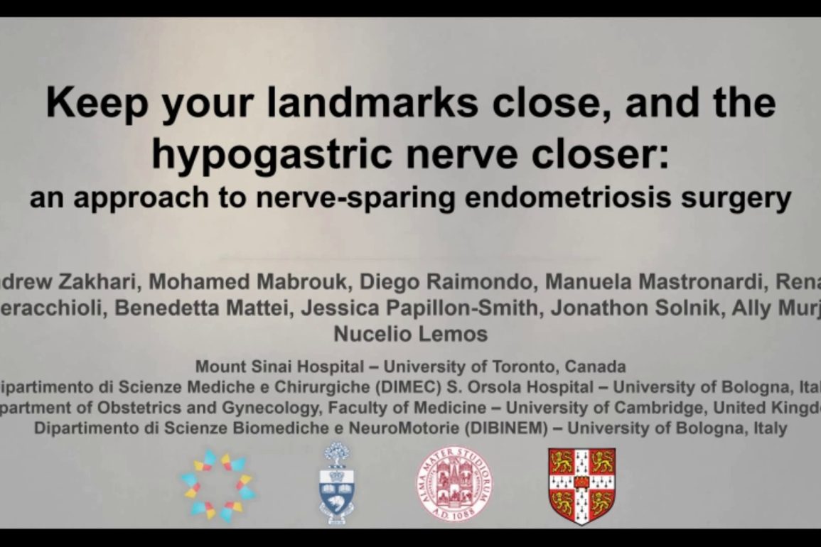 Keep Your Landmarks Close, and the Hypogastric Nerve Closer An Approach to Nerve-sparing Endometriosis