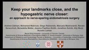 Keep Your Landmarks Close, and the Hypogastric Nerve Closer An Approach to Nerve-sparing Endometriosis