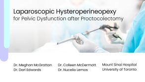 Laparoscopic Hysteroperineopexy for Pelvic Dysfunction after Proctocolectomy