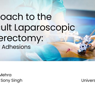 Approach to the Difficult Laparoscopic Hysterectomy: Bladder Adhesions preview