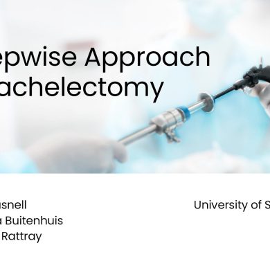 A Stepwise Approach to Trachelectomy