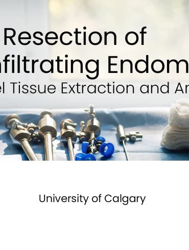 En Bloc Resection of Deep Infiltrating Endometriosis with a Novel Tissue Extraction and Anastomotic