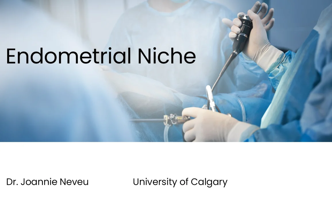 Endometrial Niche