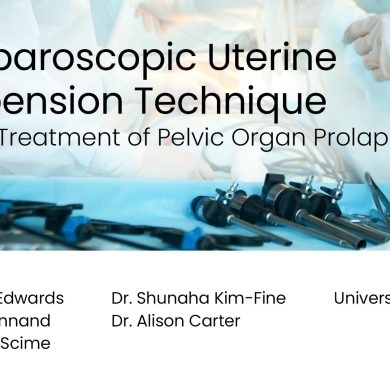 Laparoscopic Uterine Suspension Technique