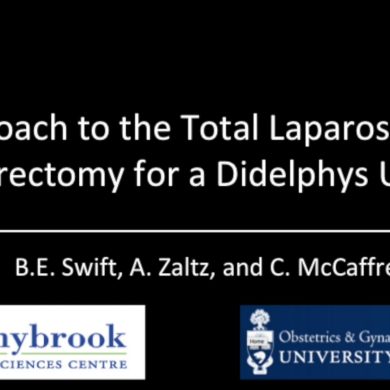 Approach to the Total Laparoscopic Hysterectomy for a Didelphys Uterus
