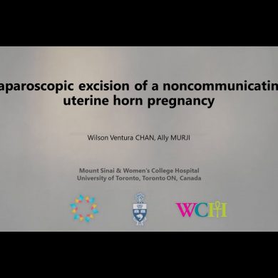 Laparoscopic Excision of Noncommunicating Uterine Horn Pregnancy