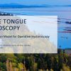 Porcine Tongue Hysteroscopy A Novel Simulation Model for Operative Hysteroscopy Teaching