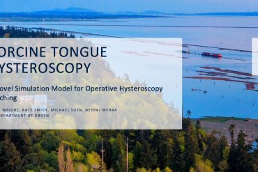Porcine Tongue Hysteroscopy A Novel Simulation Model for Operative Hysteroscopy Teaching