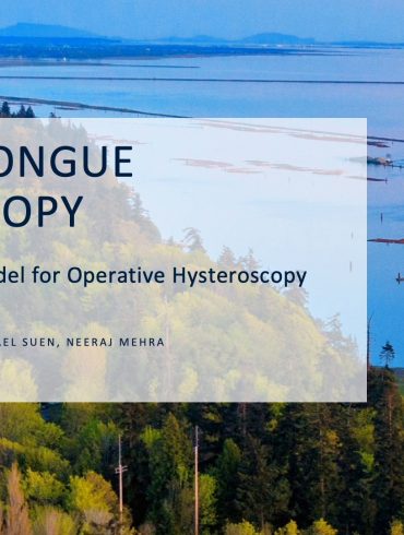 Porcine Tongue Hysteroscopy A Novel Simulation Model for Operative Hysteroscopy Teaching
