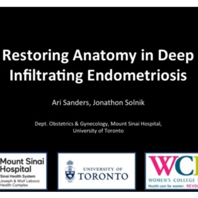 Restoring Anatomy in Deep Infiltrating Endometriosis