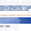 Temporary Uterine Artery Occlusion at Laparoscopic Myomectomy - A Simple Technique to Reduce Blood Loss