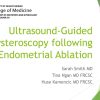 Ultrasound-Guided Hysteroscopic Metroplasty