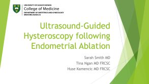 Ultrasound-Guided Hysteroscopic Metroplasty