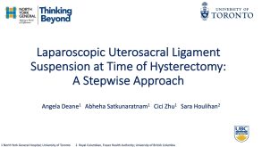 Laparoscopic Uterosacral Ligament Suspension at Time of Hysterectomy: A Stepwise Approach