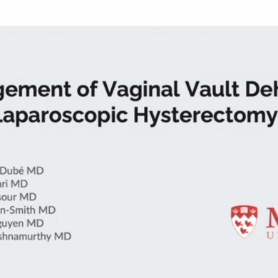 management of vaginal vault hero