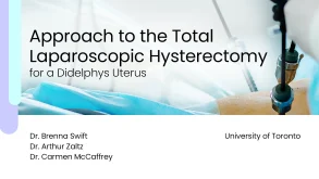 Approach to the Total Laparoscopic Hysterectomy for a Didelphys Uterus