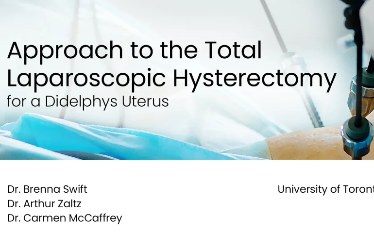 Approach to the Total Laparoscopic Hysterectomy for a Didelphys Uterus
