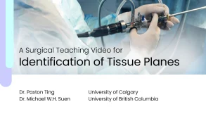 Surgical Guide: Identifying Tissue Planes