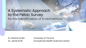 Pelvic Survey System: Identifying Endometriosis5