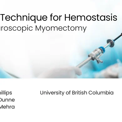Novel Technique for Hemostasis at Laparoscopic Myomectomy