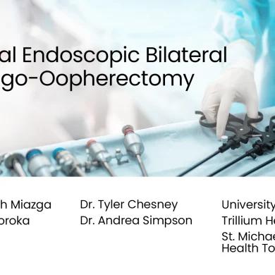 Vaginal Endoscopy: Bilateral Salpingo-Oopherectomy