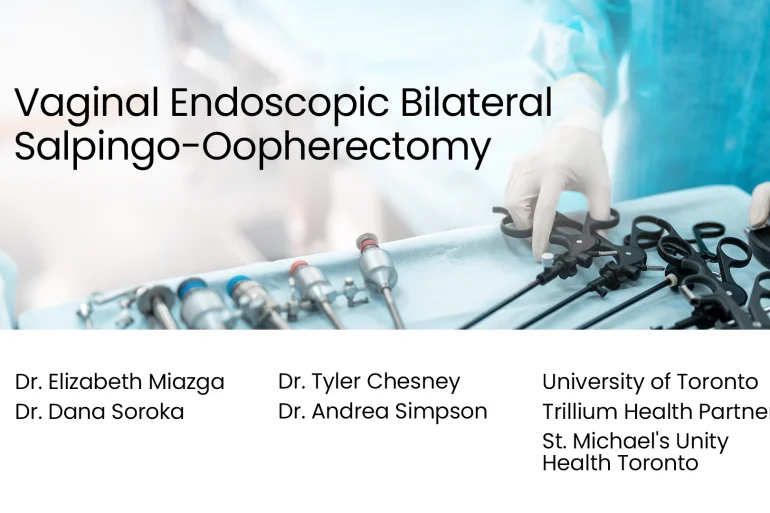 Vaginal Endoscopy: Bilateral Salpingo-Oopherectomy
