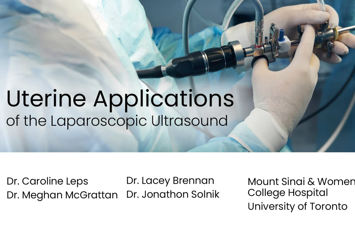 Uterine Applications of the Laparoscopic Ultrasound