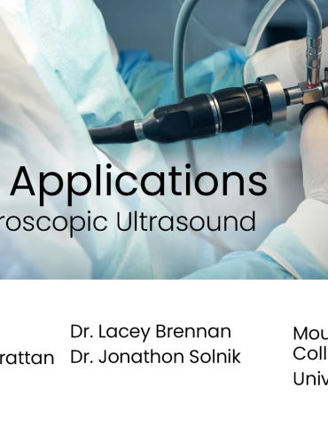 Uterine Applications of the Laparoscopic Ultrasound