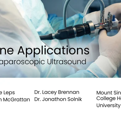 Uterine Applications of the Laparoscopic Ultrasound