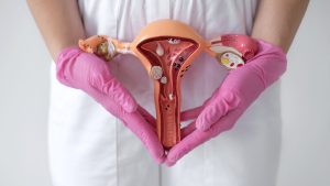 Woman doctor holding up a physical body diagram of a vagina