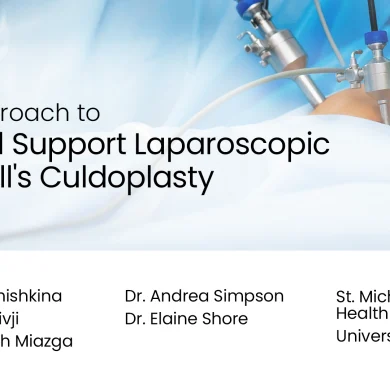 An Approach to Apical Support: Laparoscopic McCall's Culdoplasty