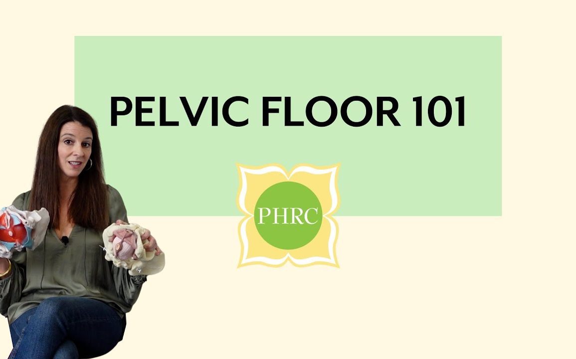 An Introduction to Your Pelvic Floor