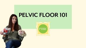 Intro To Your Pelvic Floor 12 An Introduction to Your Pelvic Floor