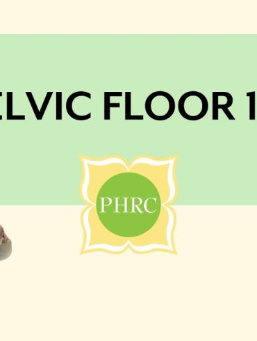 An Introduction to Your Pelvic Floor