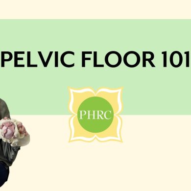 An Introduction to Your Pelvic Floor