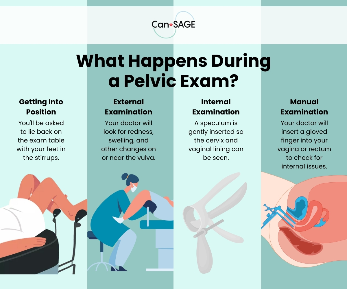 Pelvic Exam Infographic