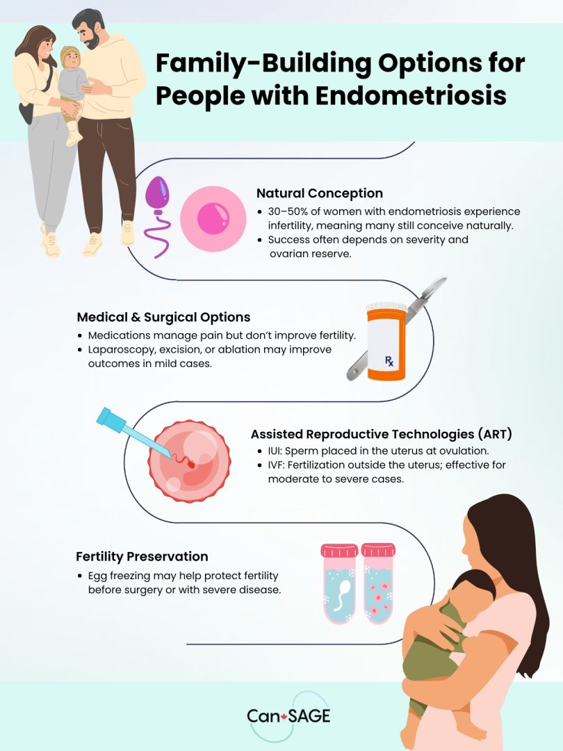 Endometriosis and Fertility: What You Need to Know 13 Infographic with Family-Building Options for People with Endometriosis
