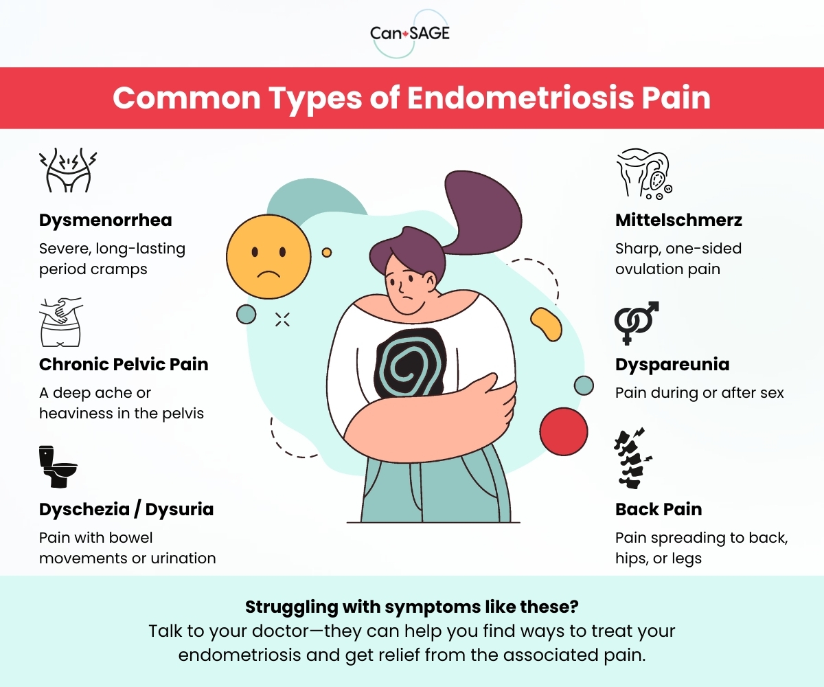 Common types of endometriosis pain infographic