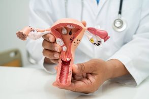 Endometriosis and Fertility: What You Need to Know 13 Doctor holding model of uterus to show potential effects of endometriosis on fertility