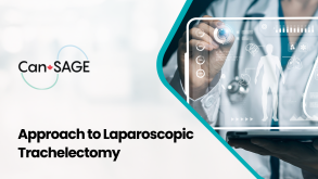 Approach to Laparoscopic Trachelectomy 37