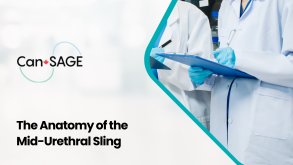 The Anatomy of the Mid-Urethral Sling 17