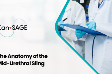 The Anatomy of the Mid-Urethral Sling 26