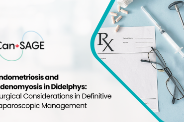 Endometriosis and Adenomyosis in Didelphys: Surgical Considerations in Definitive Laparoscopic Management 24